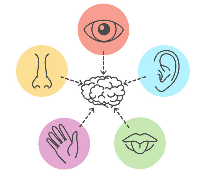 感觉统合课程 - 广州自闭症机构_声华言语康复官网